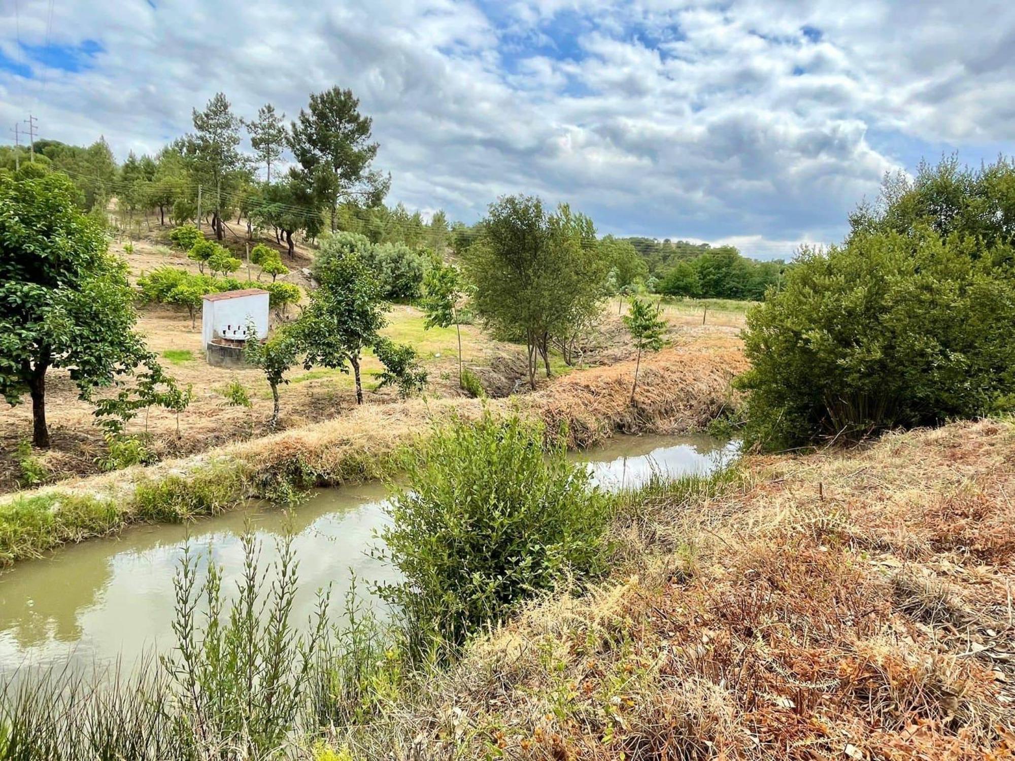 Monte Argil Daire Montargil Dış mekan fotoğraf