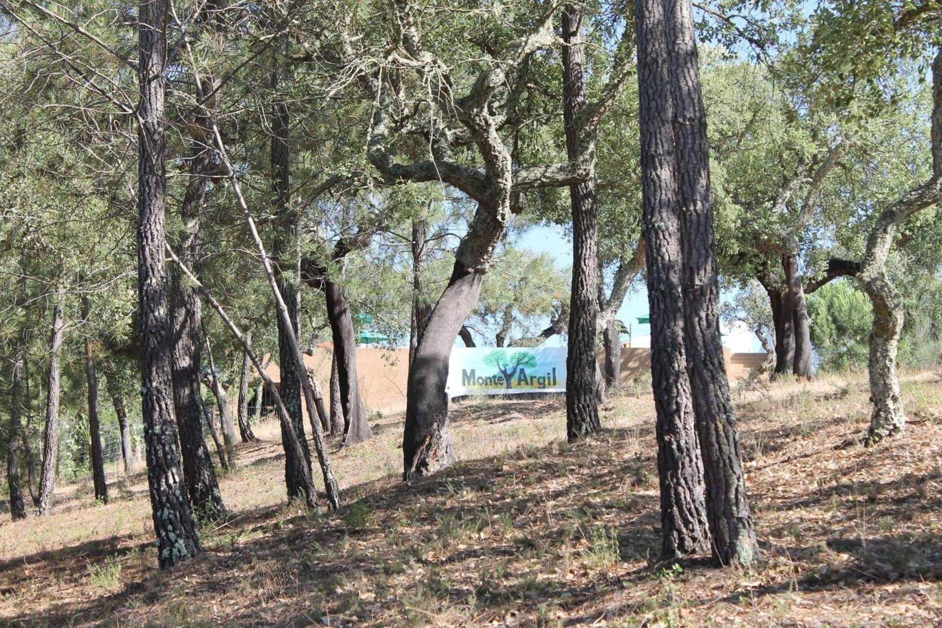 Monte Argil Daire Montargil Dış mekan fotoğraf